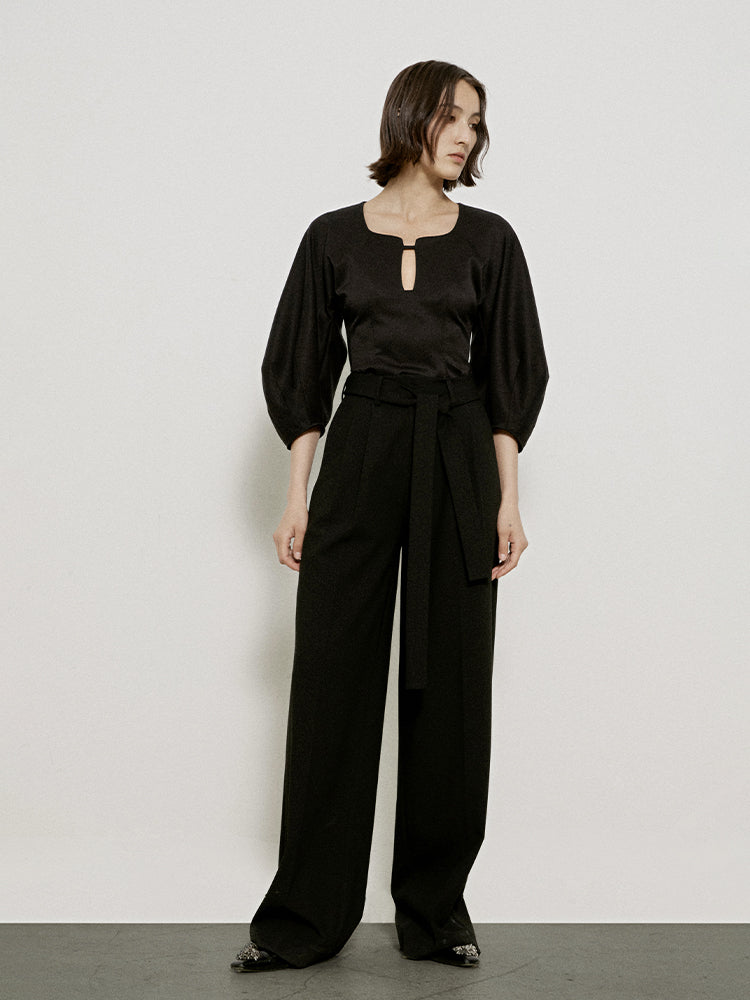 BALLOON-SLEEVE GLOSSY UNIQUE CLASSY BLOSUE