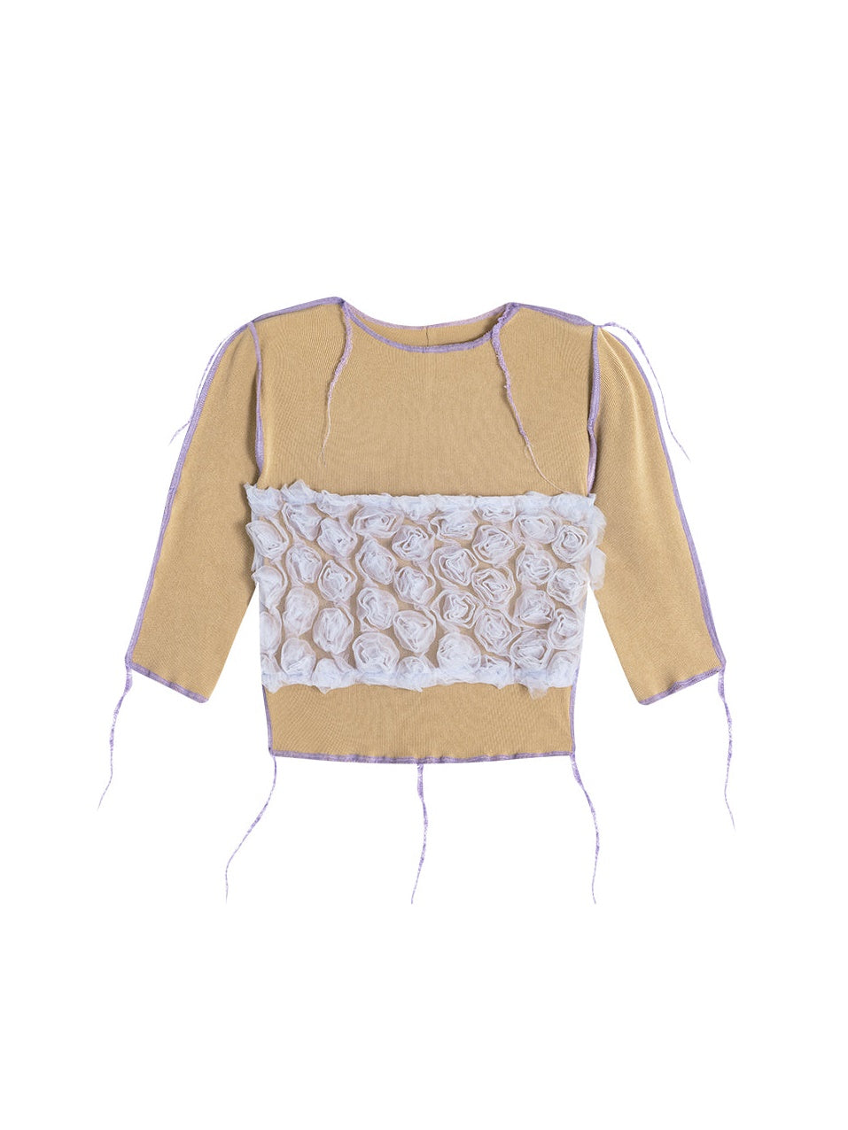 Mesh Spleißen kurzärmeliges Top & High -Taille -Shorts