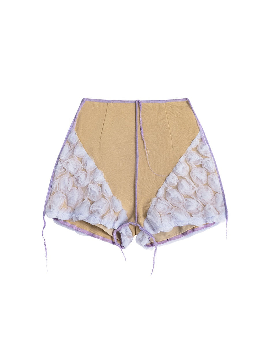 Mesh Spleißen kurzärmeliges Top & High -Taille -Shorts