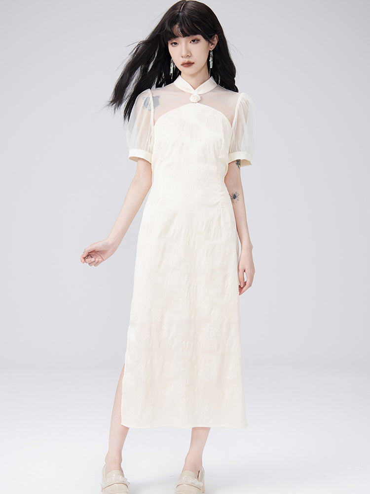 Durchsichtiges Puffärmel langes Kleid