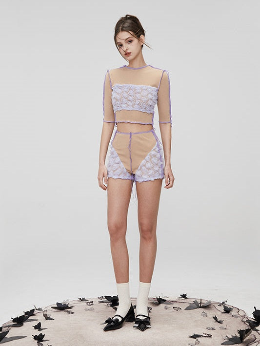 Mesh Spleißen kurzärmeliges Top & High -Taille -Shorts