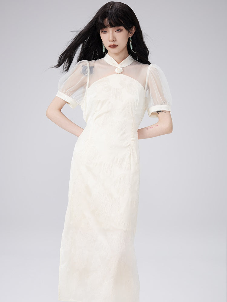 Durchsichtiges Puffärmel langes Kleid