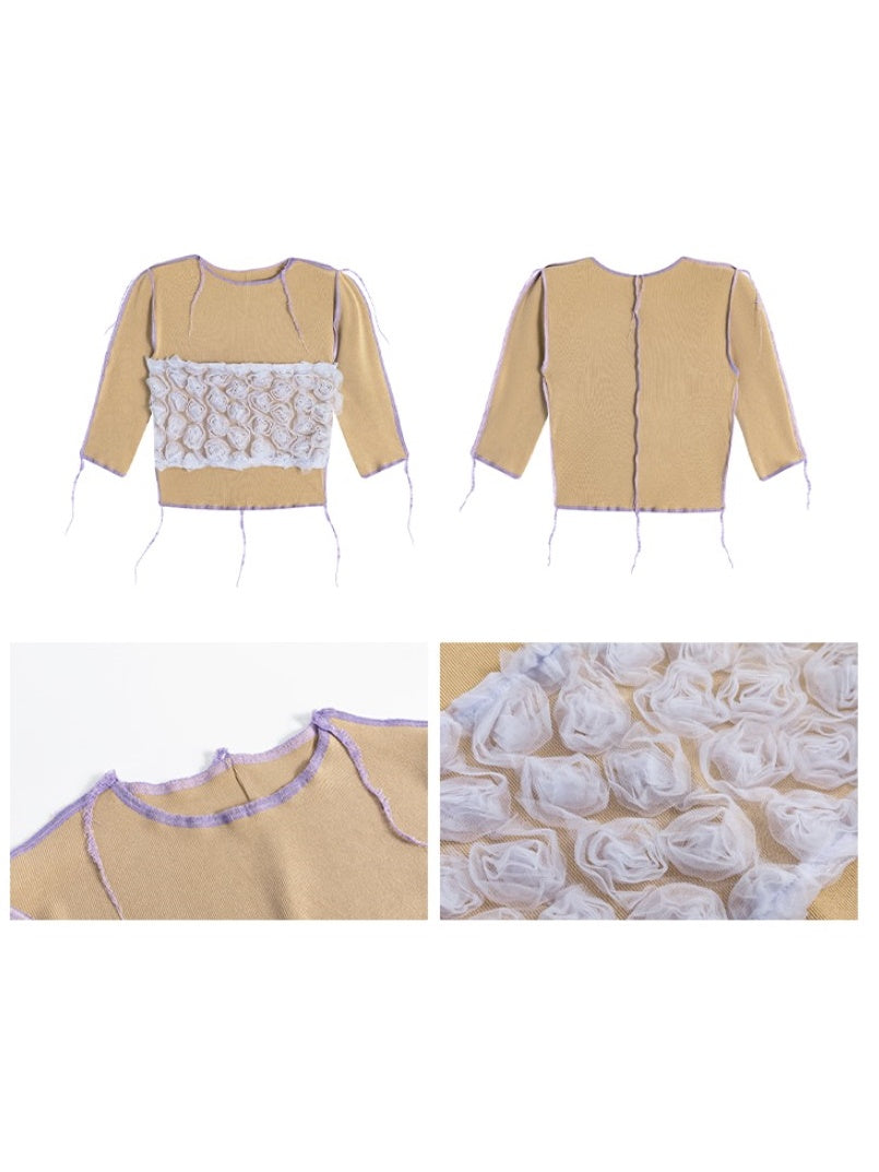 Mesh Spleißen kurzärmeliges Top & High -Taille -Shorts