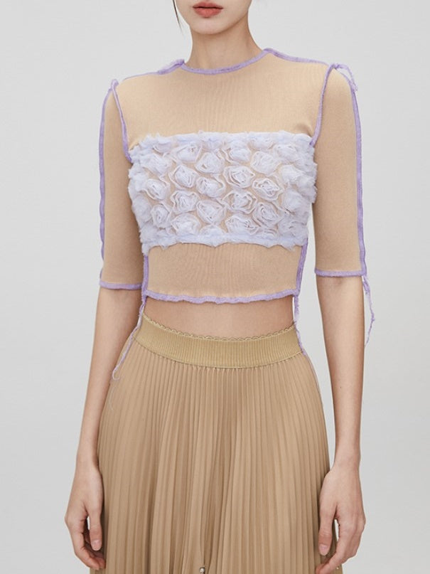 Mesh Spleißen kurzärmeliges Top & High -Taille -Shorts