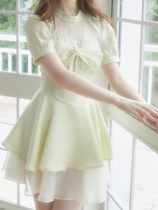 Hollow Sheer Design Layered Dress