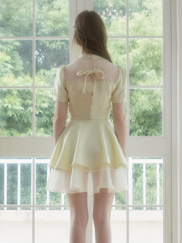 Hollow Sheer Design Layered Dress