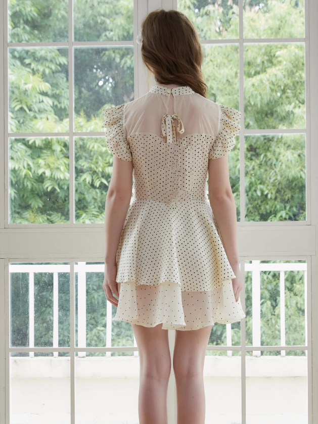 Polka Dot Layered Design Dress