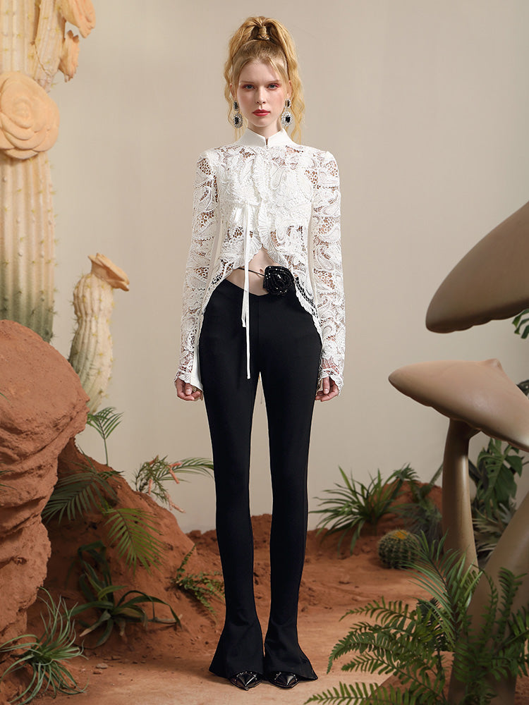 Lace Classic Sheer Feminine Blouse