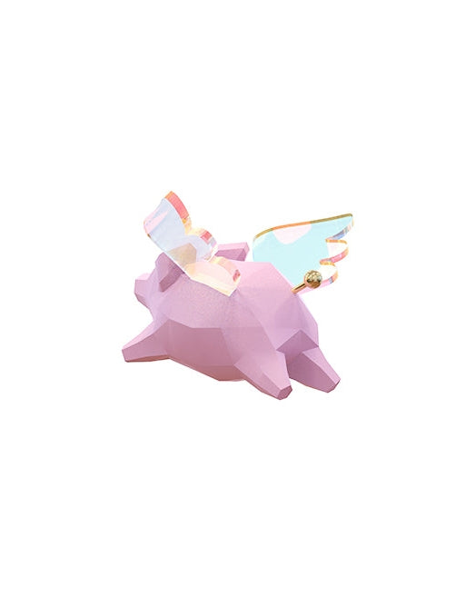 Fliege Schweiner Erde