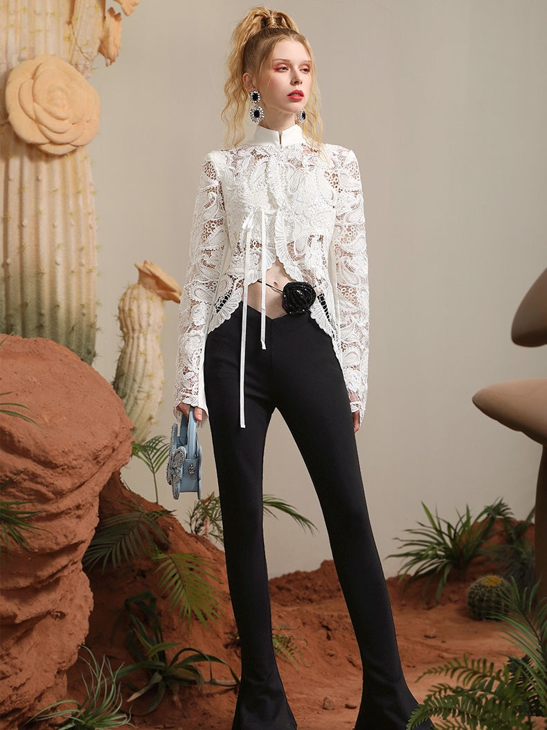 Lace Classic Sheer Feminine Blouse