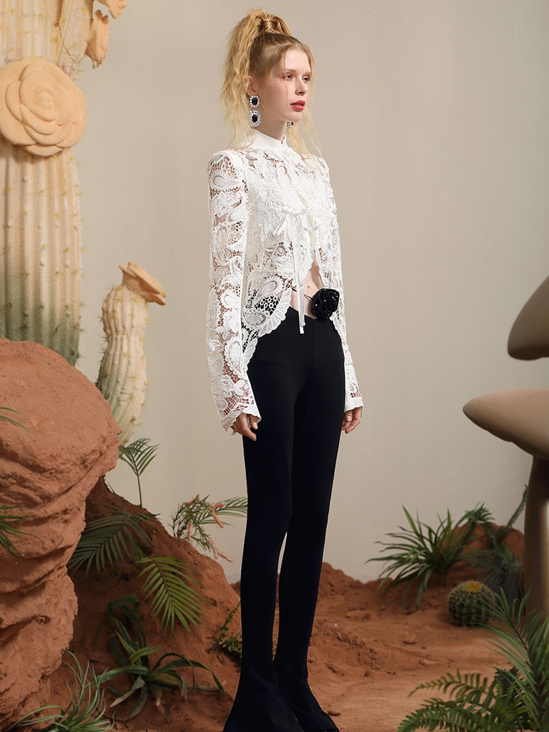 Lace Classic Sheer Feminine Blouse