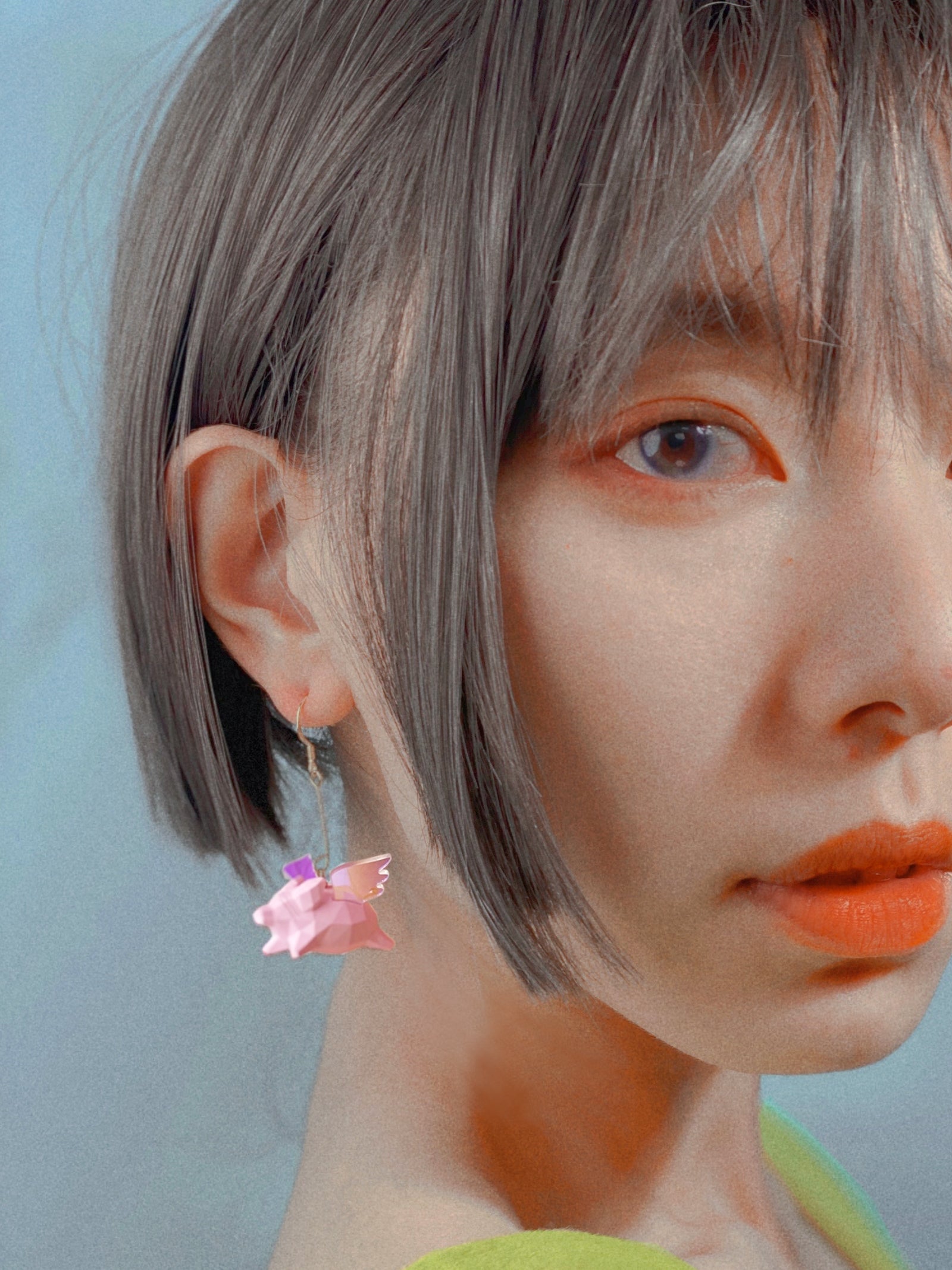 Fliege Schweiner Erde