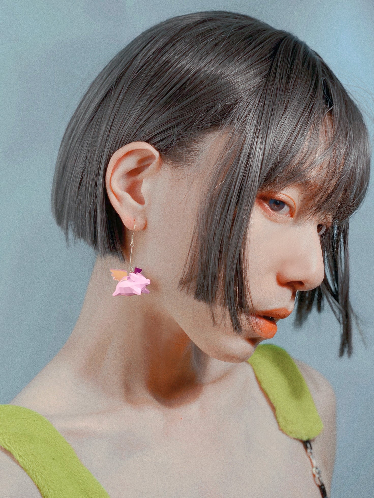 Fliege Schweiner Erde