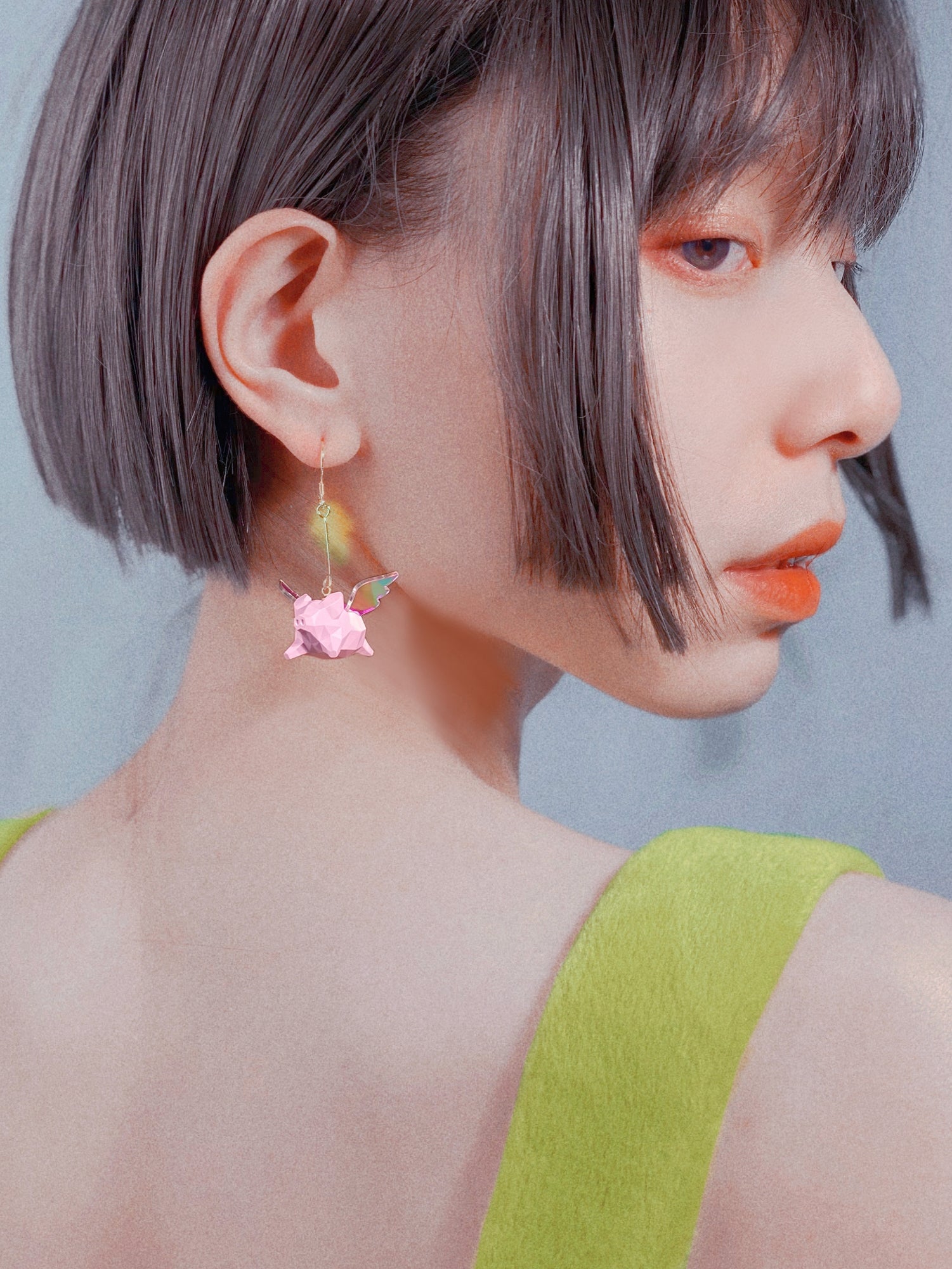 Fliege Schweiner Erde