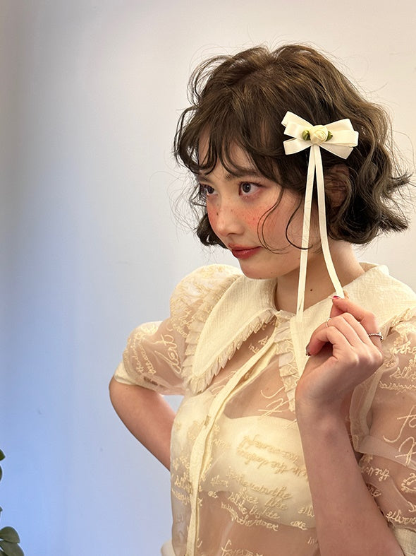 Blouse transparente à manches bouffantes à broderie