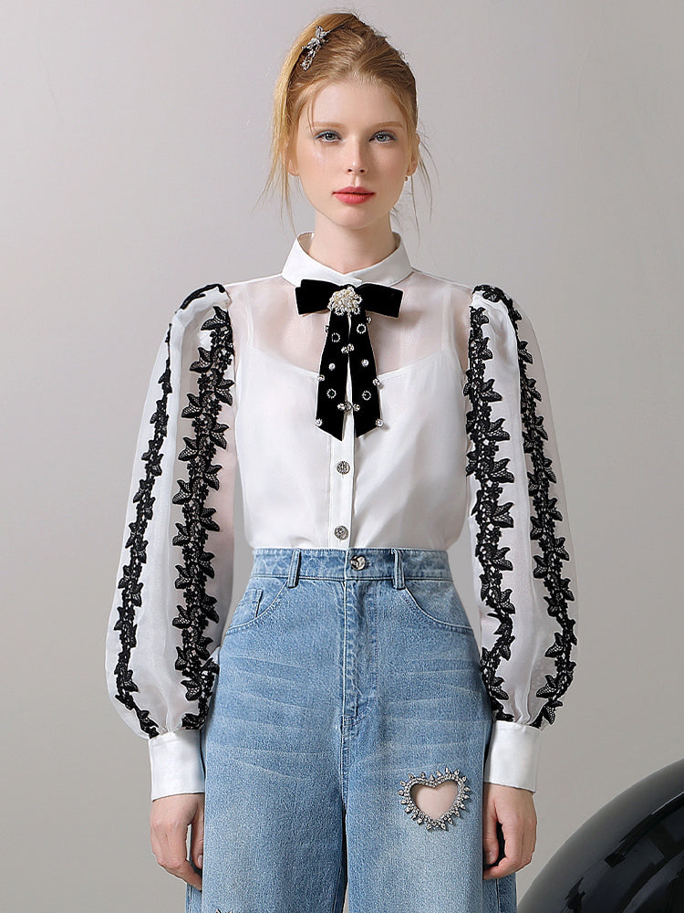 Lace Ribbon Sheer Balloon-Sleeve Blouse