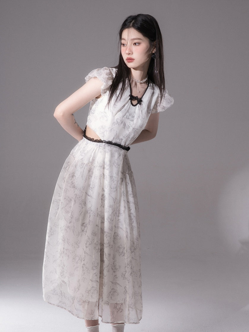 Chinese Style Ink Printing Dress