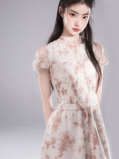 Rose Layered Print Waist Shape Dress