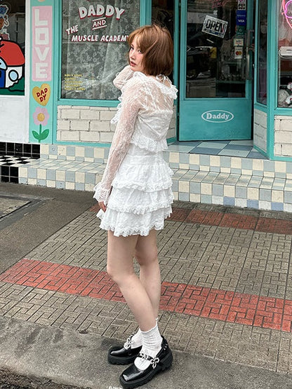 Ribbon Cake Lace Embroidery Dress