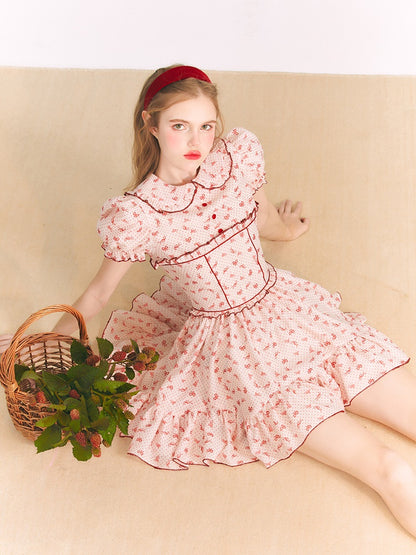 Ribbon Printed Doll Collar Dress