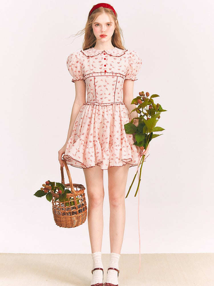 Ribbon Printed Doll Collar Dress