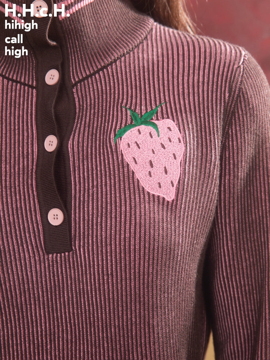 Strawberry Embroidery Strip High Collar Sweater