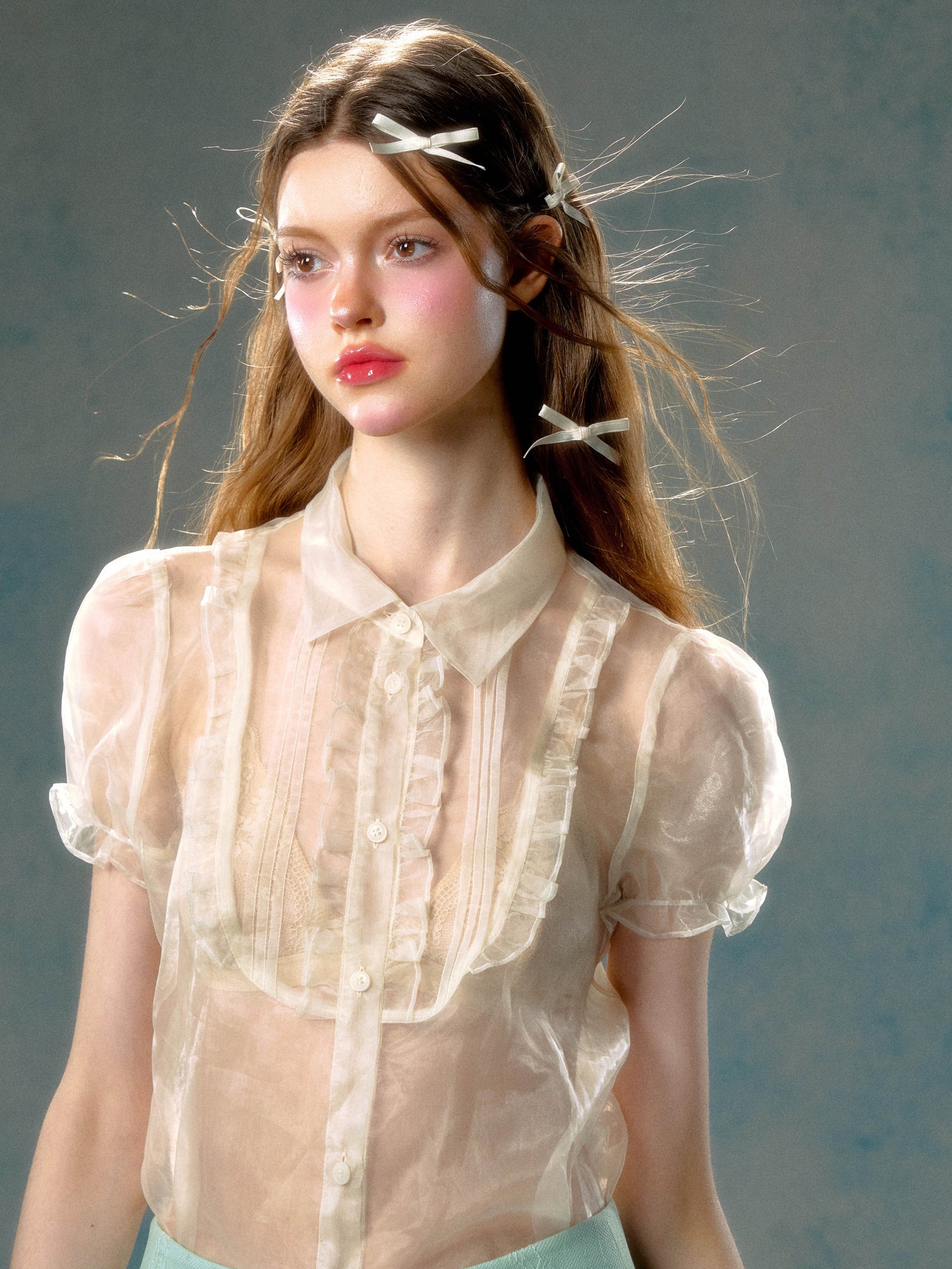 Lace Organza Puff Sleeve Sheer Shirt