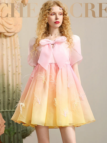 Gradation Ruban Fairy Pale Sweet Wing 3D Robe