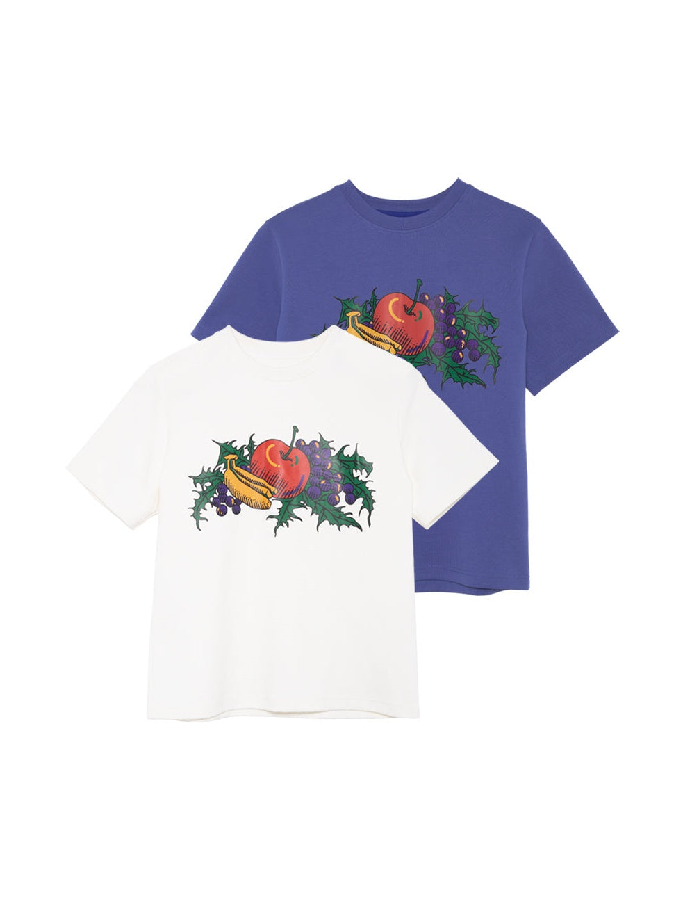 Oil Painting Fruit Printed Loose T-shirt