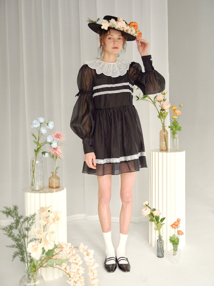 Organza Little Black Dress