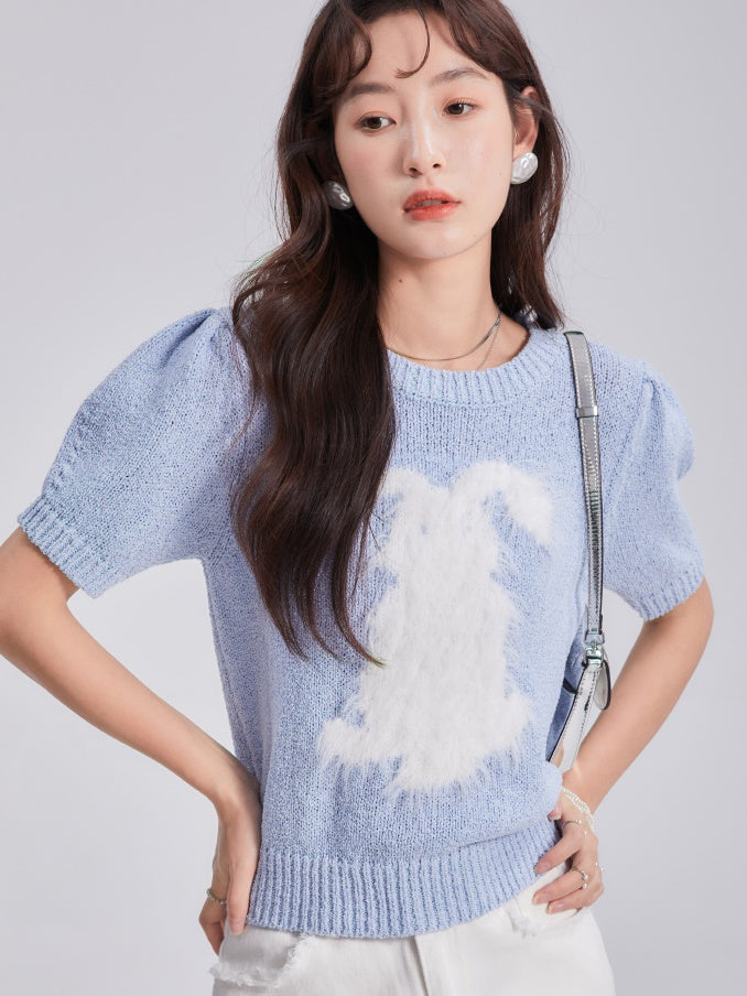 Rabbit Imitation Mink Fur Round Neck Knitted