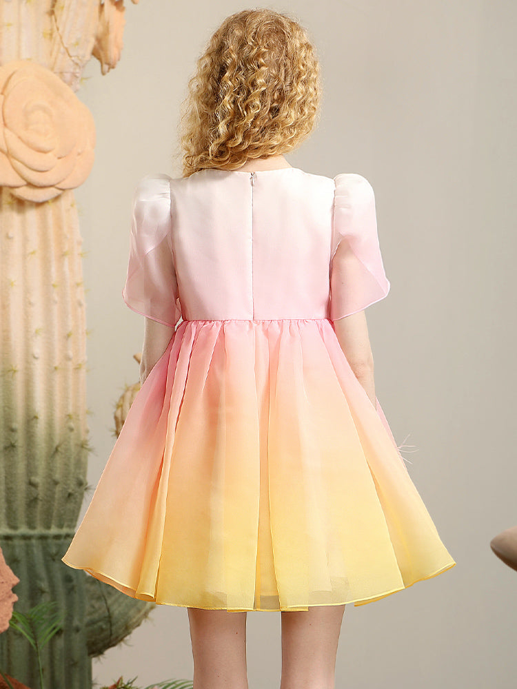 Gradation Ruban Fairy Pale Sweet Wing 3D Robe