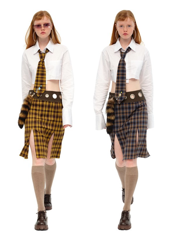 Plaid Skirt and Necktie