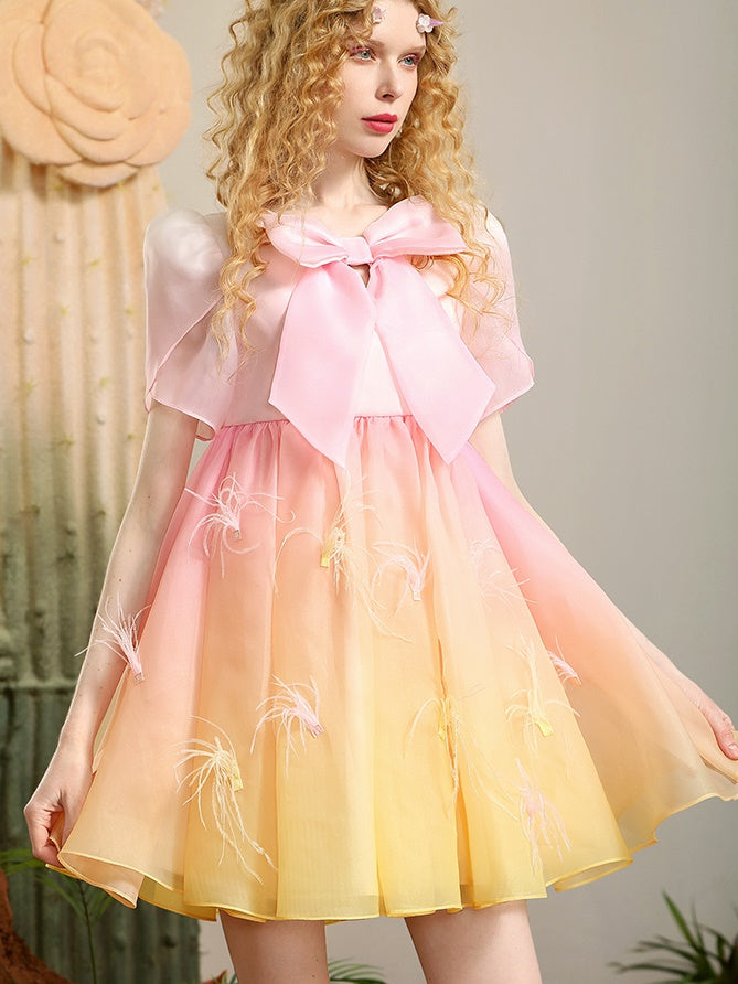 Gradation Ribbon Fairy Pale Sweet Wing 3D Dress