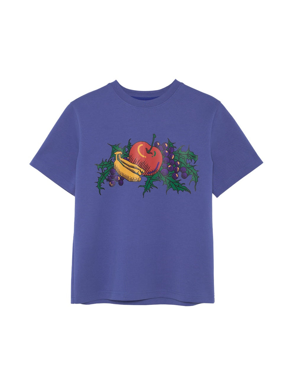 Oil Painting Fruit Printed Loose T-shirt