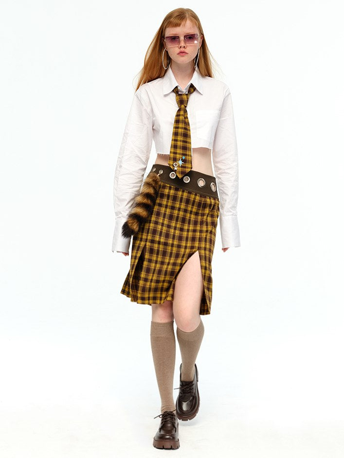 Plaid Skirt and Necktie